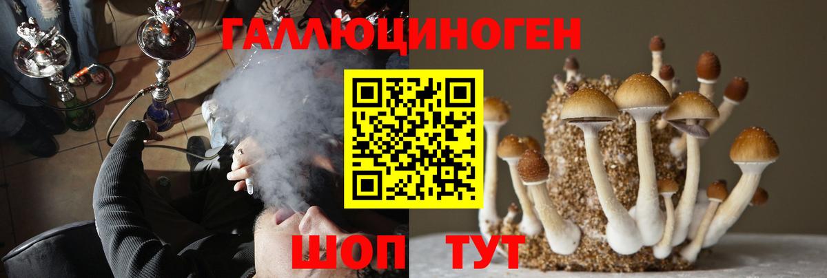 Псилоцибиновые грибы Magic Shrooms Россия